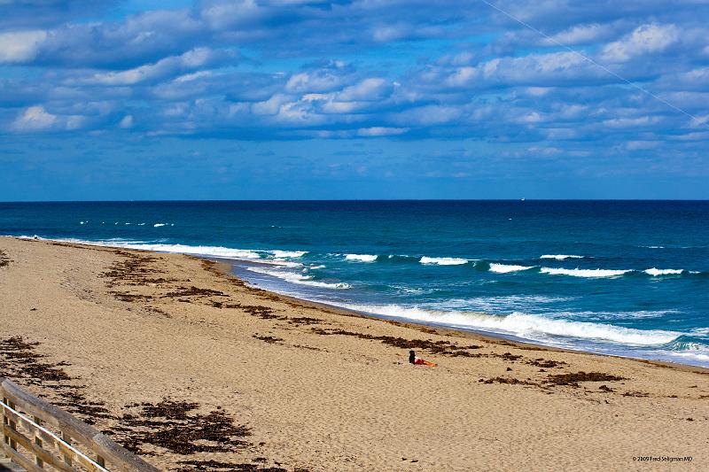 20090221_154948 D3 P1 5100x3400 srgb.jpg - Atlantic Coastline, MacArthur Beach State Park